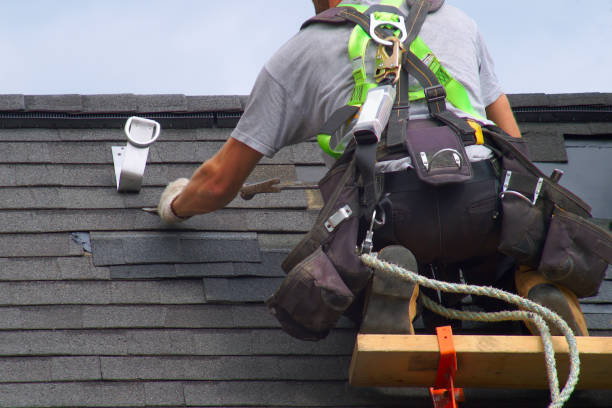 Best Roof Gutter Cleaning  in Ogdensburg, NJ